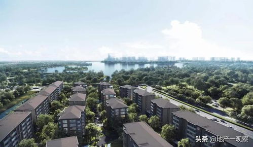 驗(yàn)資200萬(wàn)才能看房,萬(wàn)科2022年第一個(gè)頂豪亮相