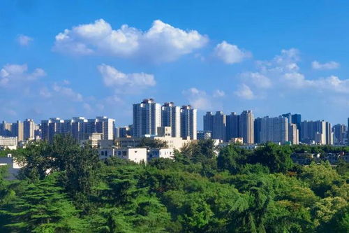 好消息 鄭州新開放145處共享綠地,這些還能搭帳篷野餐